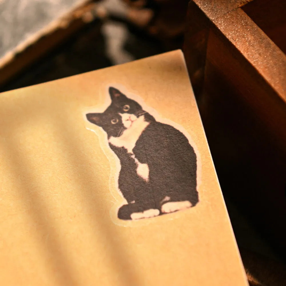 Ethereal Muse Rub-On Stickers Set