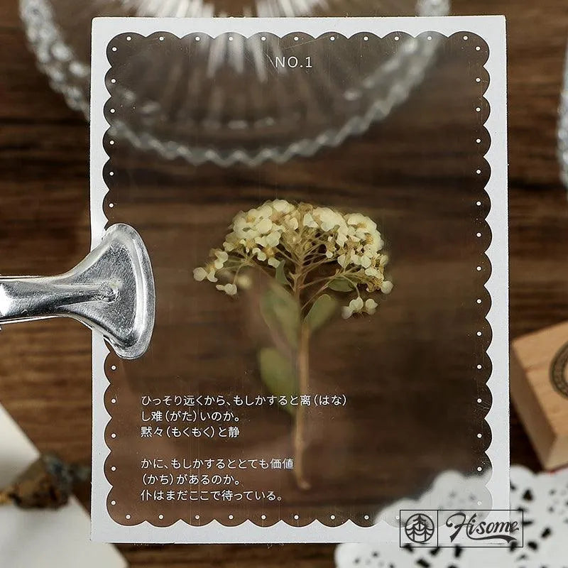 Vintage Polaroid Frame Stickers Pack