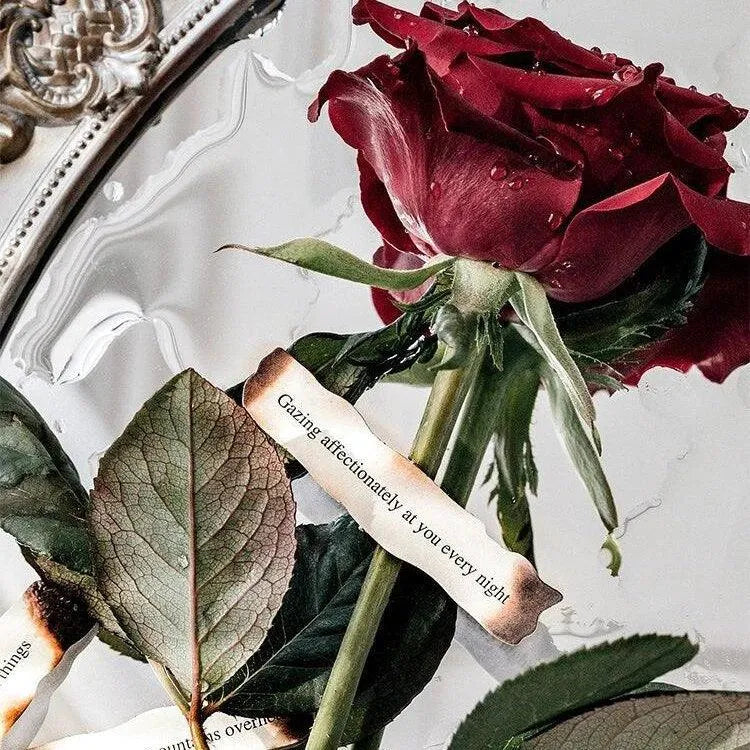 Flowers And Poetry PET And White Kraft Paper Stickers